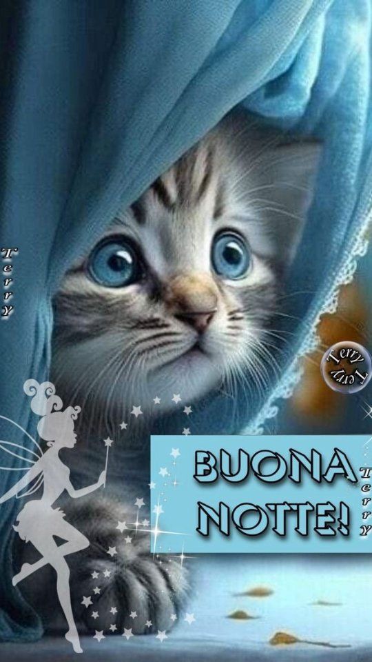 Immagini Buonanotte​ 54
