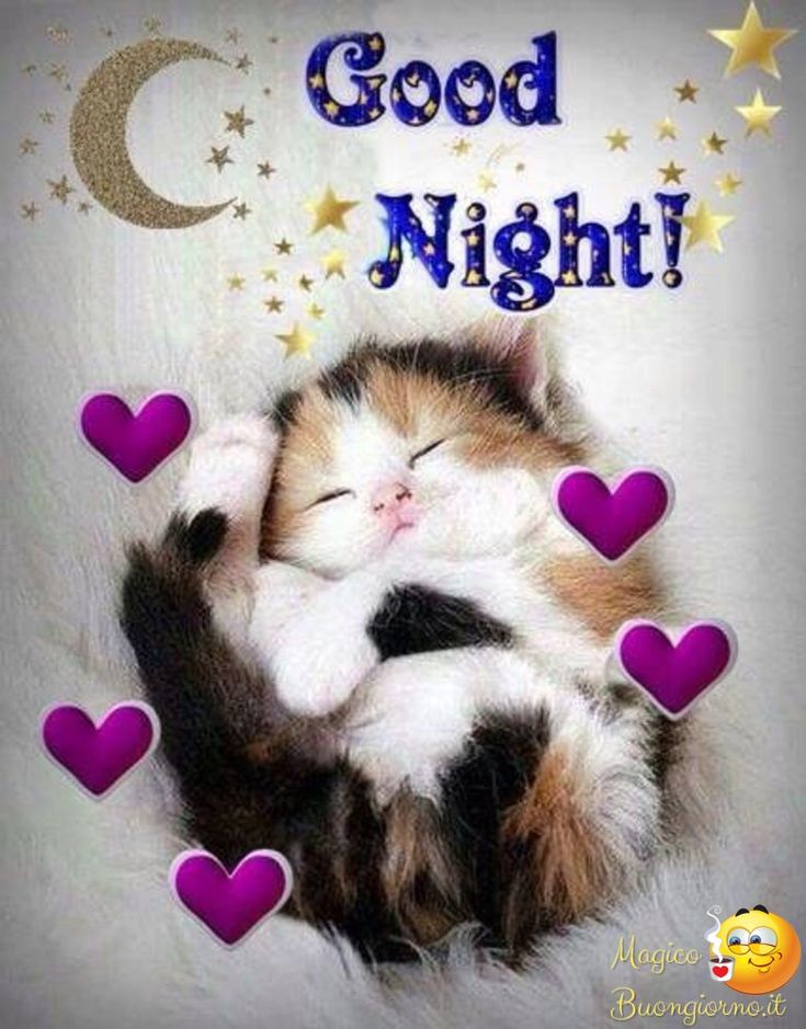 Immagini Buonanotte​ 64