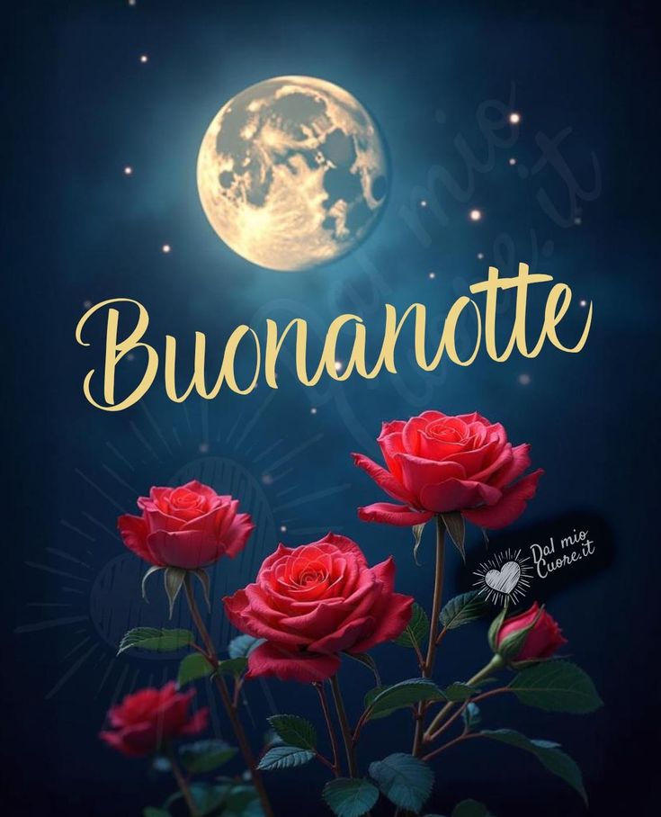 Immagini Buonanotte​ 68