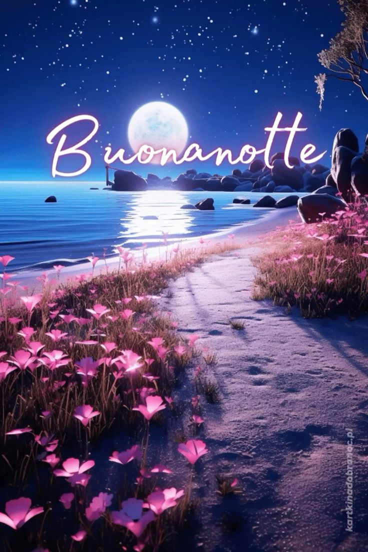 Immagini Buonanotte​ 8