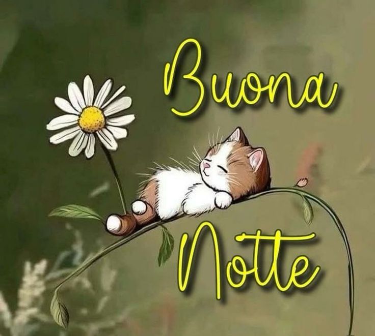 Immagini Buonanotte​ 84