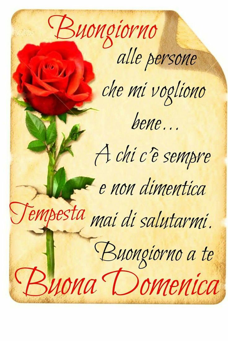 Immagini Buongiorno Domenica​ 108