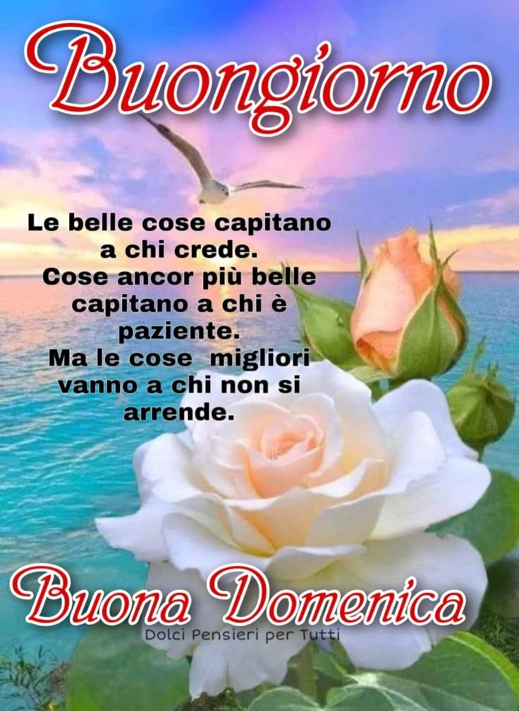 Immagini Buongiorno Domenica​ 11