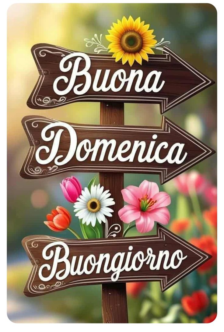 Immagini Buongiorno Domenica​ 114