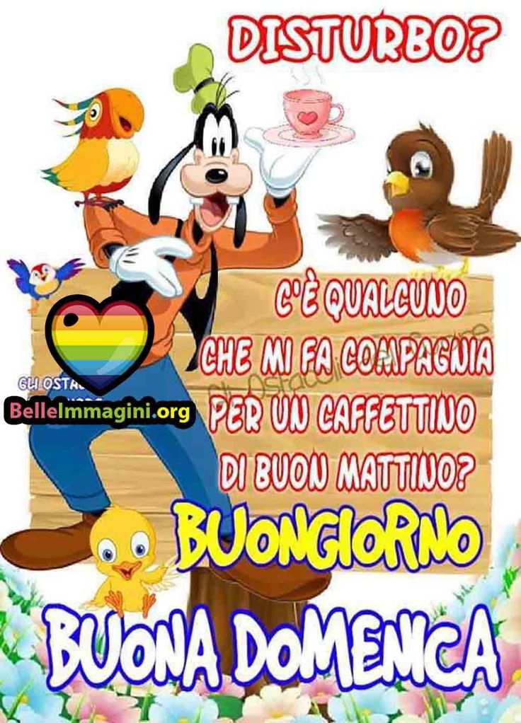 Immagini Buongiorno Domenica​ 144