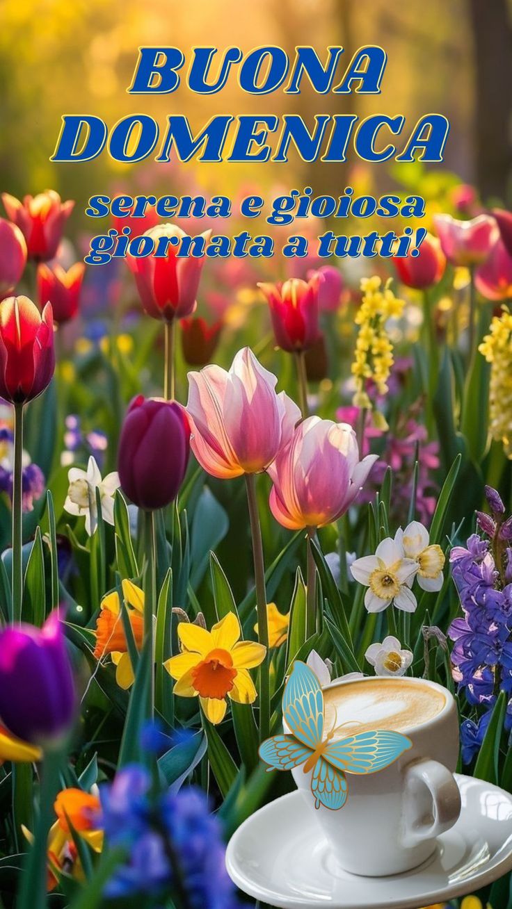 Immagini Buongiorno Domenica​ 32