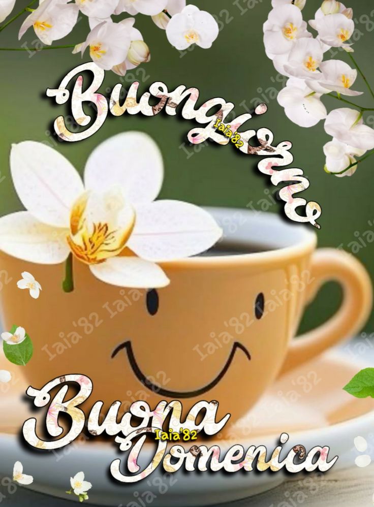 Immagini Buongiorno Domenica​ 4