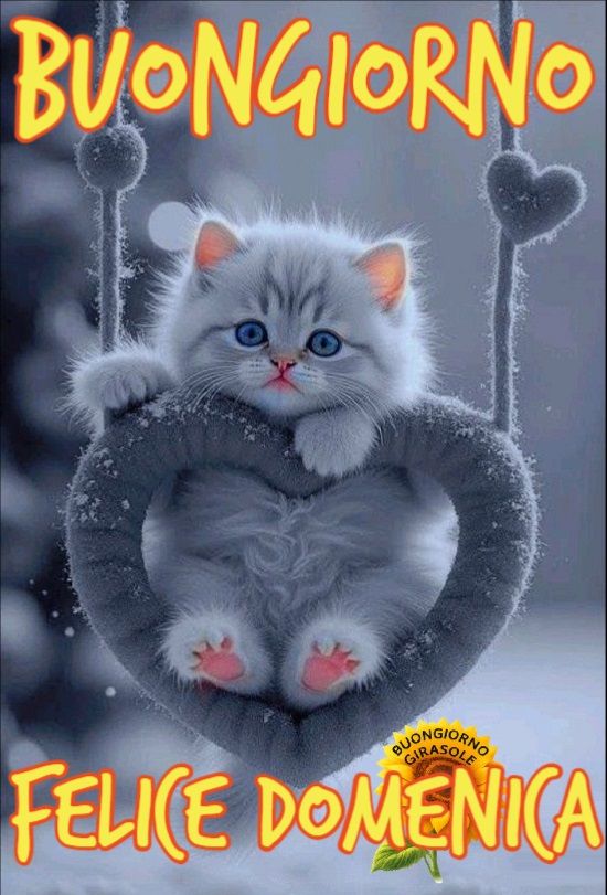 Immagini Buongiorno Domenica​ 56