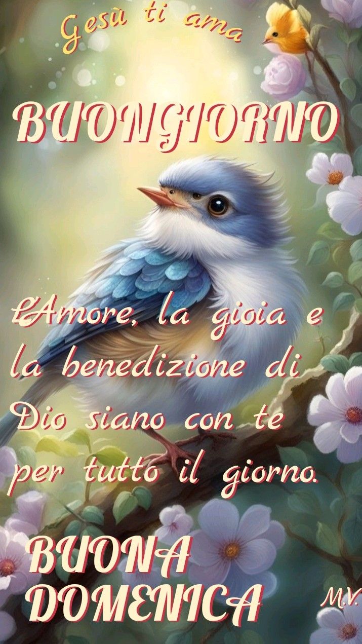 Immagini Buongiorno Domenica​ 67