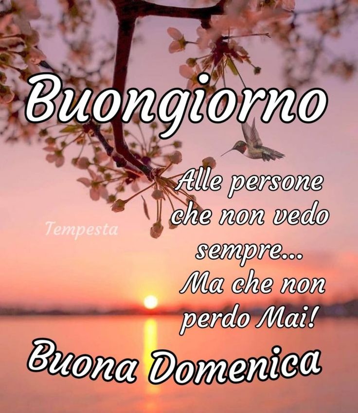 Immagini Buongiorno Domenica​ 78