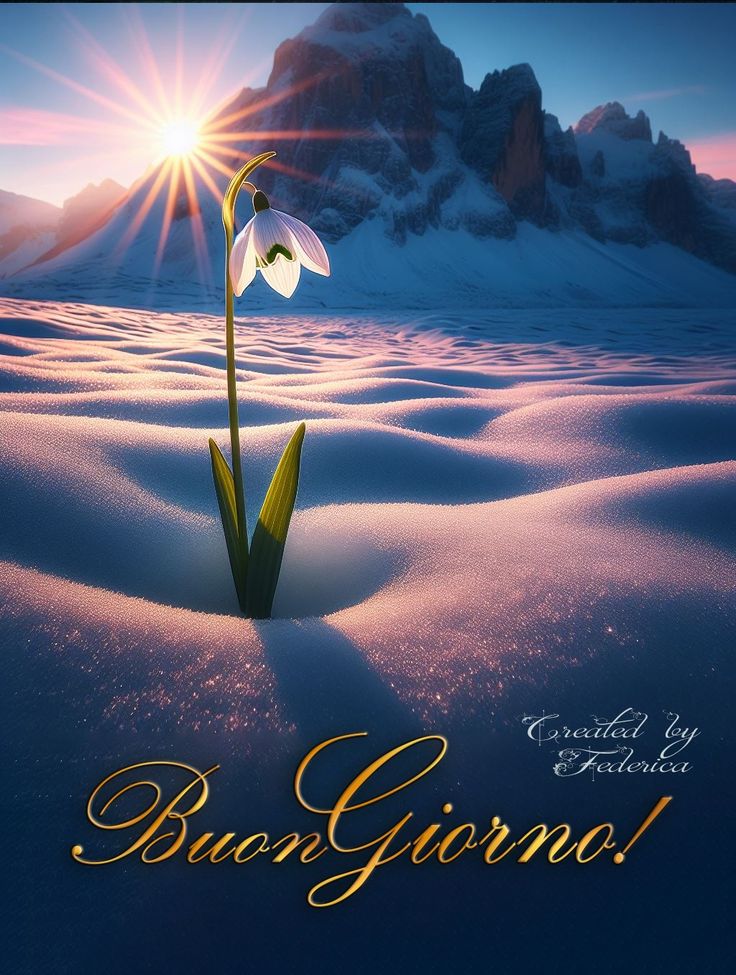 Immagini Buongiorno Invernali​ 104