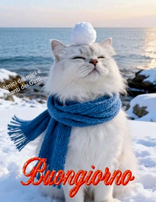 Immagini Buongiorno Invernali​ 105