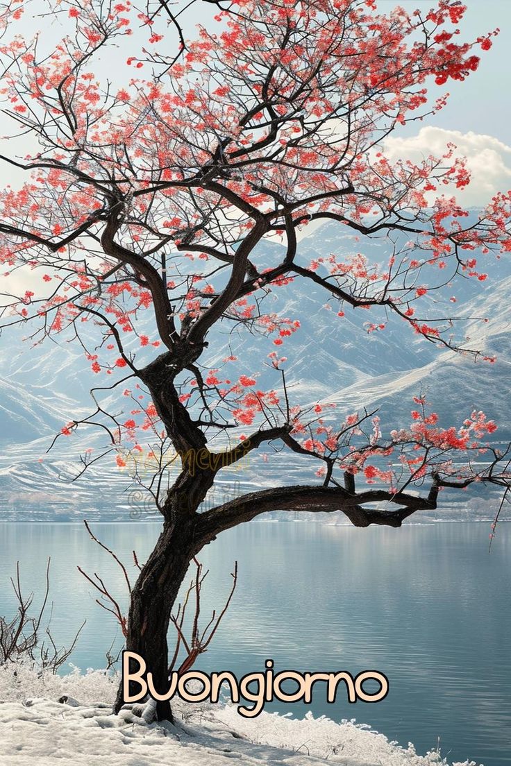 Immagini Buongiorno Invernali​ 109