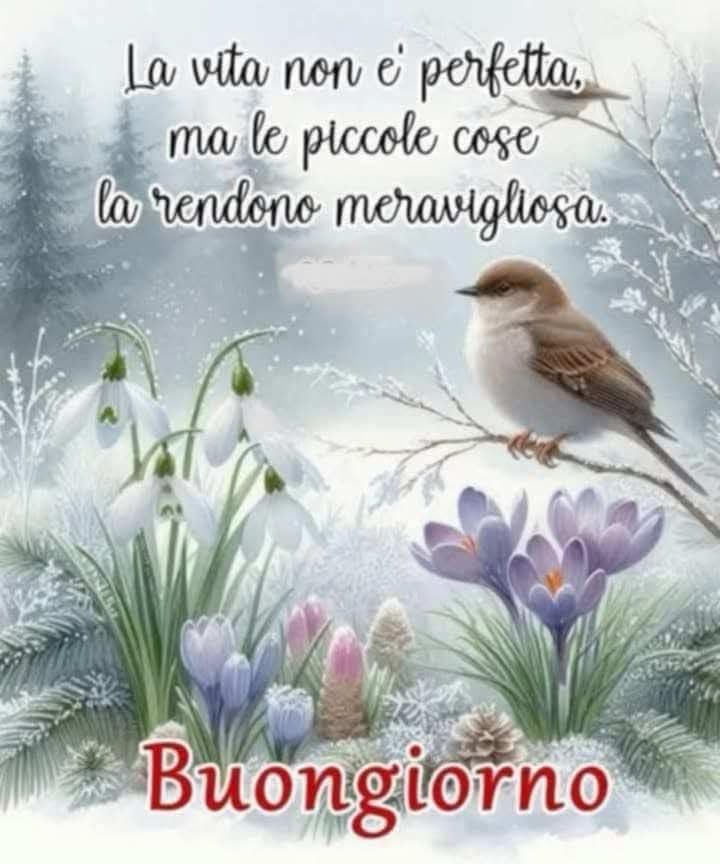 Immagini Buongiorno Invernali​ 11