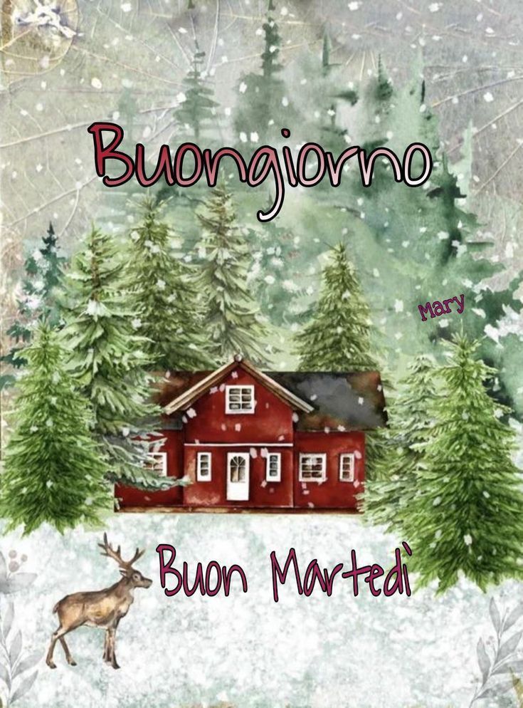 Immagini Buongiorno Invernali​ 120