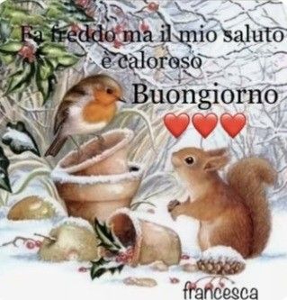 Immagini Buongiorno Invernali​ 128