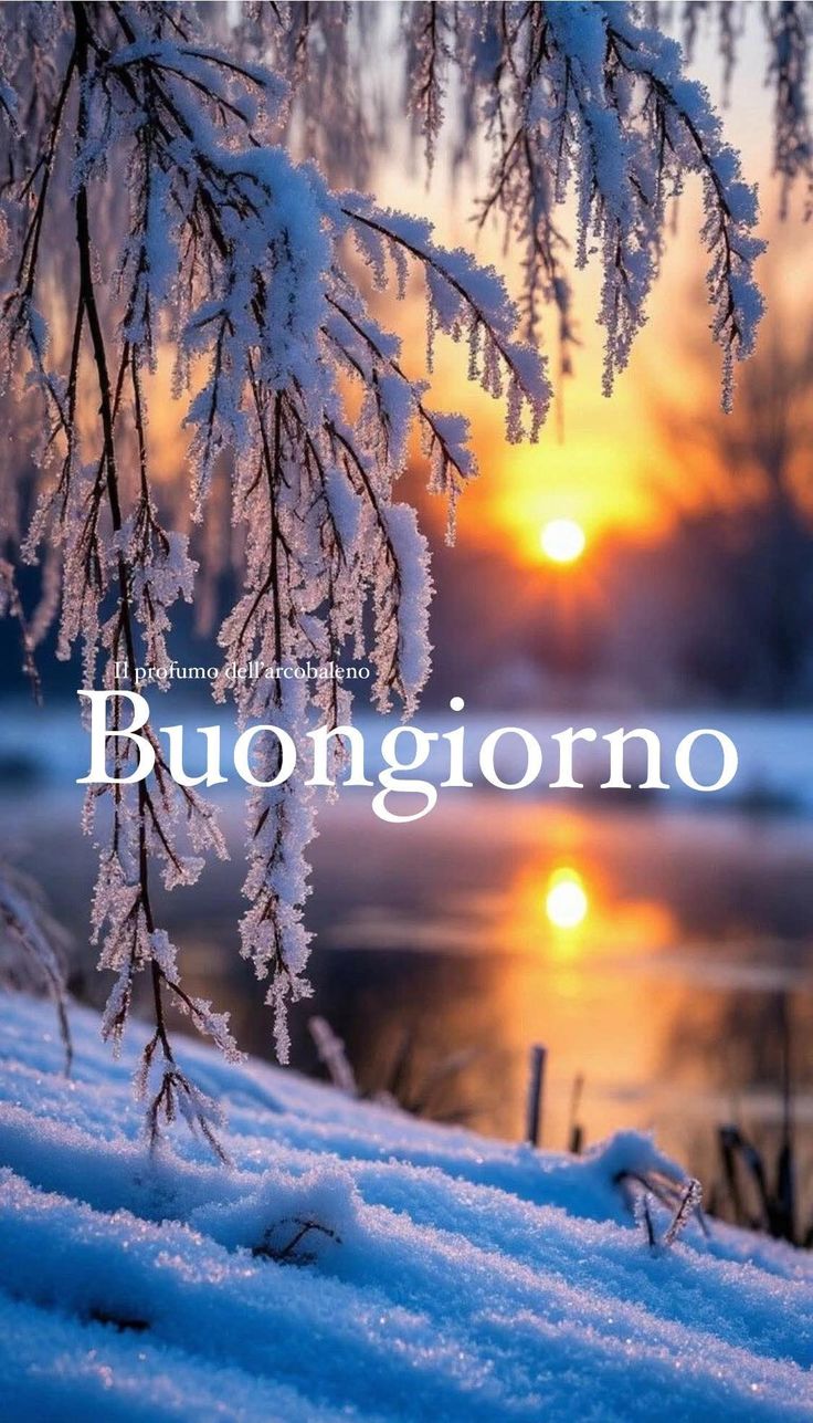 Immagini Buongiorno Invernali​ 13