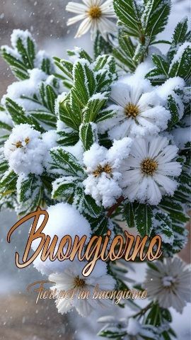 Immagini Buongiorno Invernali​ 134