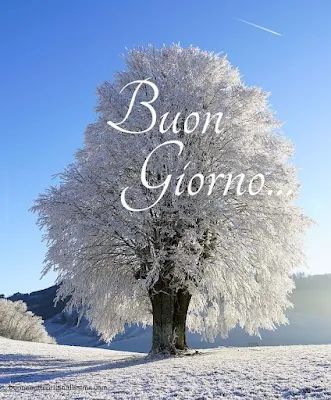 Immagini Buongiorno Invernali​ 138