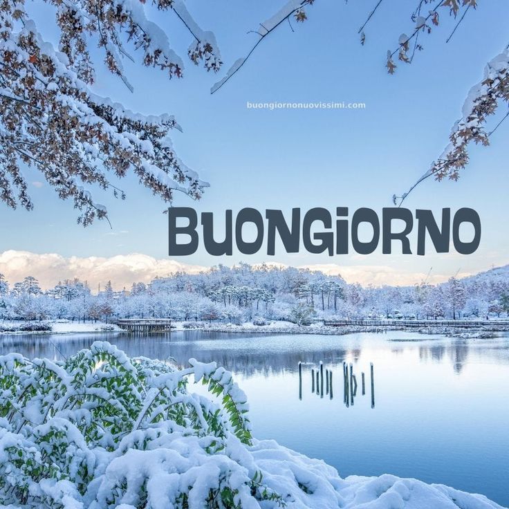 Immagini Buongiorno Invernali​ 14