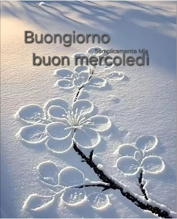 Immagini Buongiorno Invernali​ 142