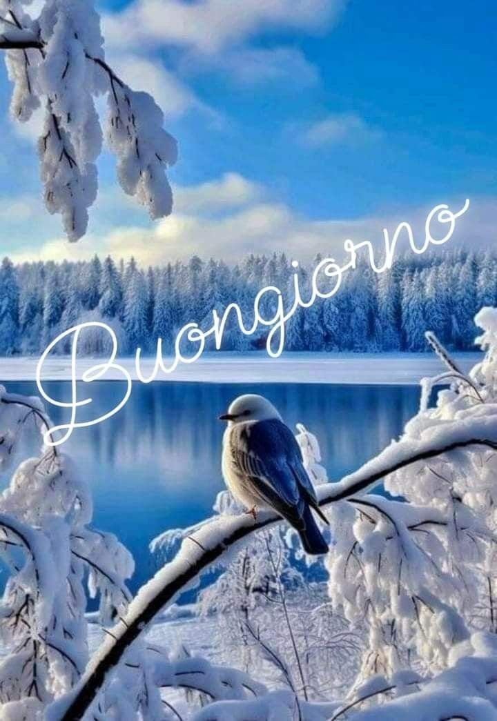 Immagini Buongiorno Invernali​ 148