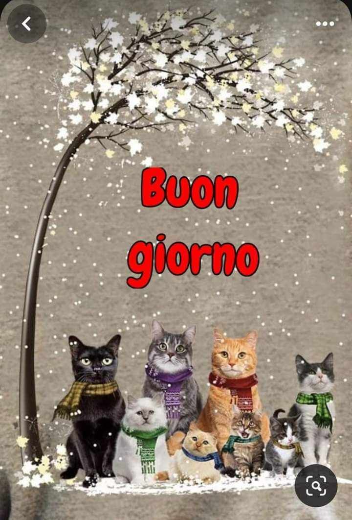 Immagini Buongiorno Invernali​ 16