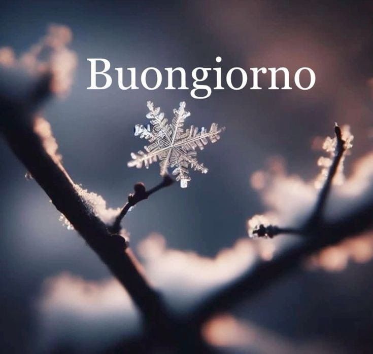 Immagini Buongiorno Invernali​ 18