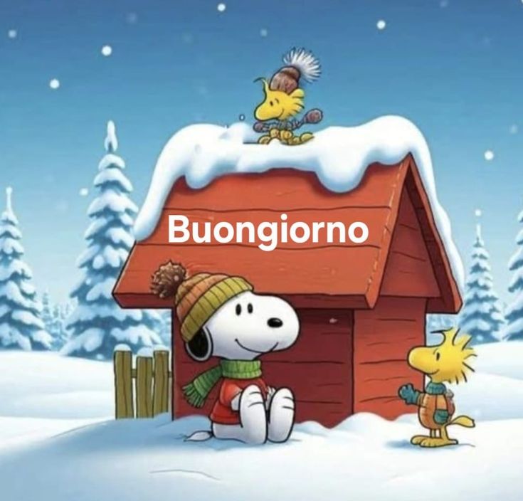 Immagini Buongiorno Invernali​ 29