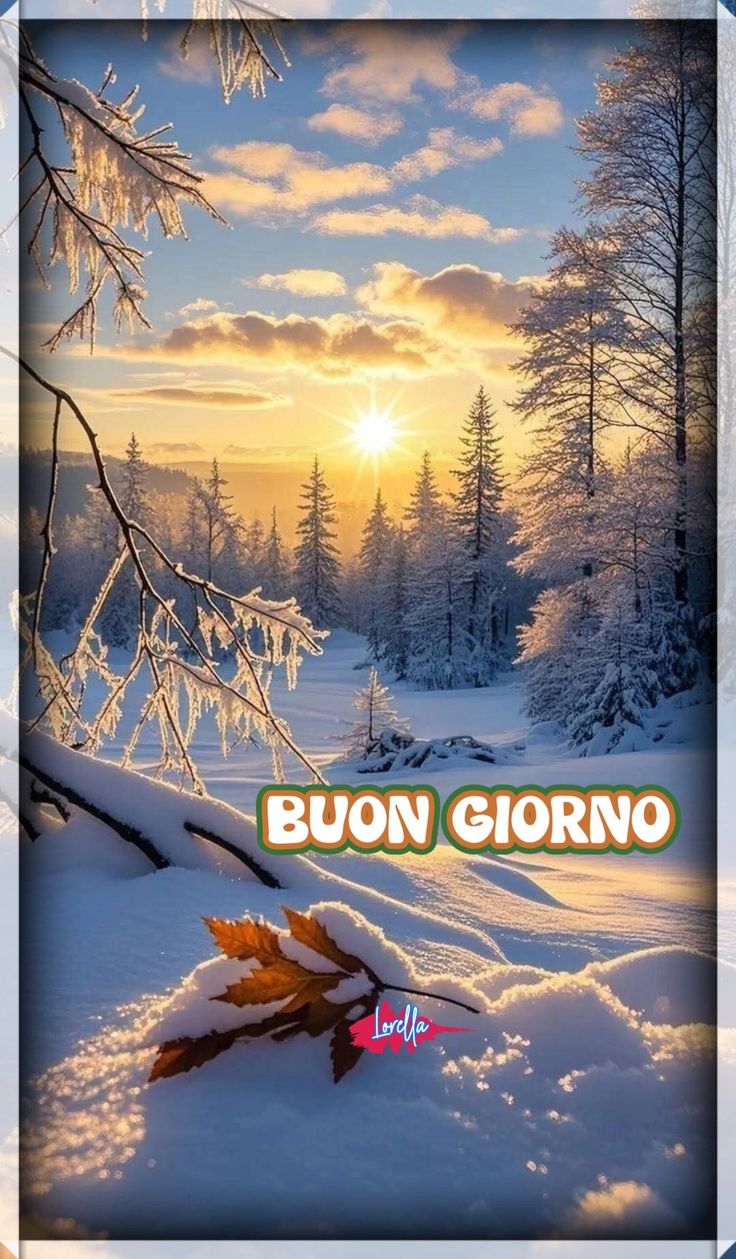 Immagini Buongiorno Invernali​ 38
