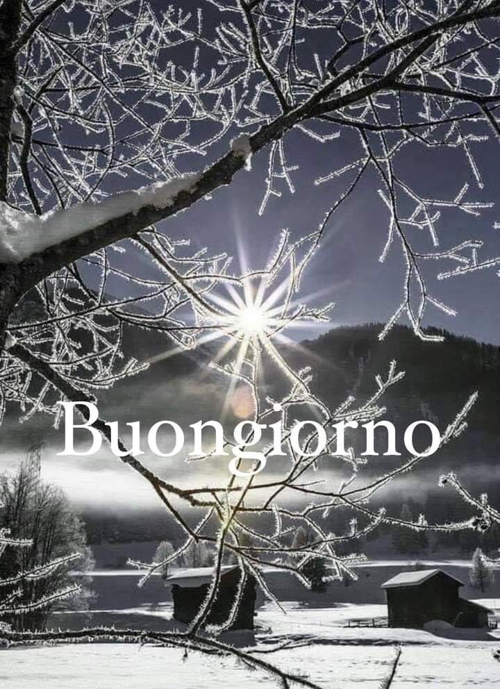 Immagini Buongiorno Invernali​ 4