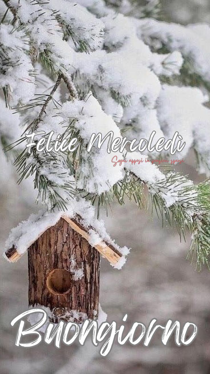 Immagini Buongiorno Invernali​ 40