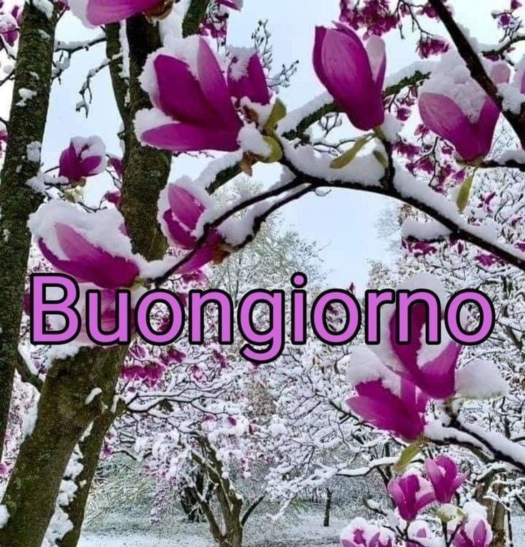 Immagini Buongiorno Invernali​ 48