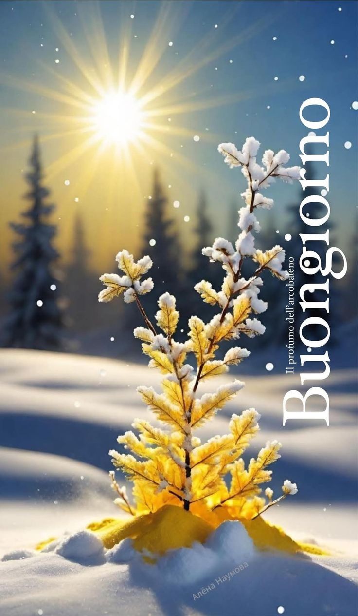 Immagini Buongiorno Invernali​ 49