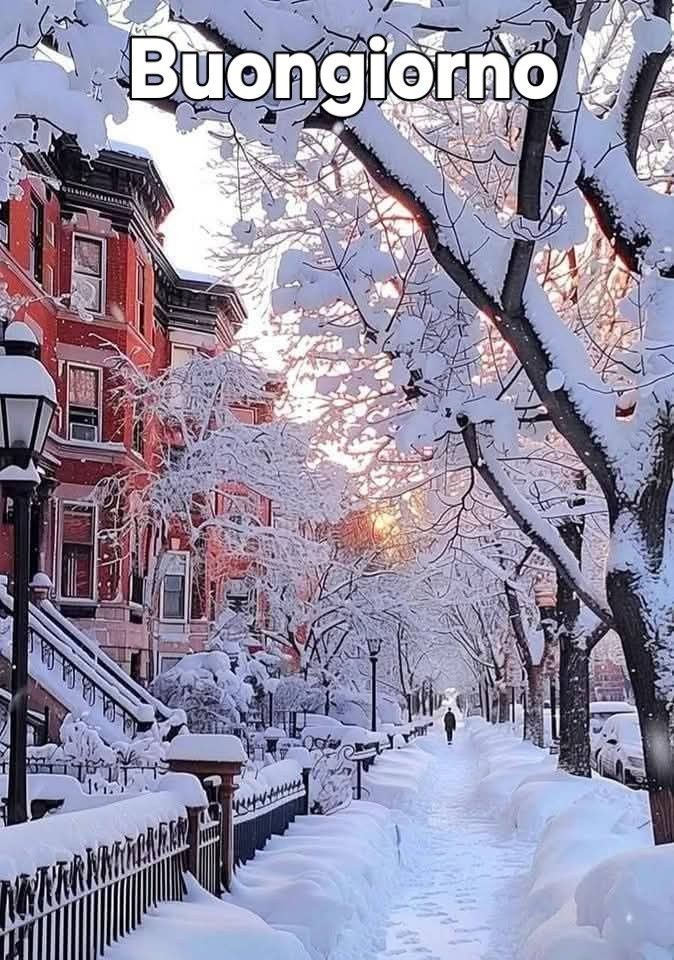 Immagini Buongiorno Invernali​ 52