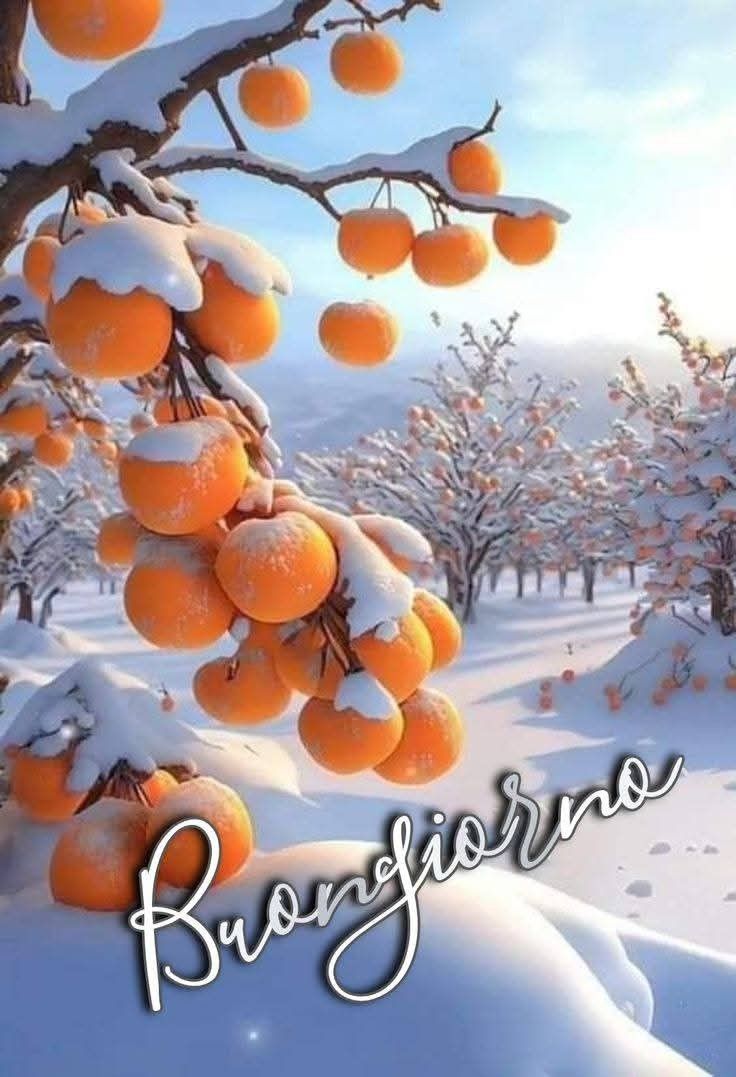 Immagini Buongiorno Invernali​ 53