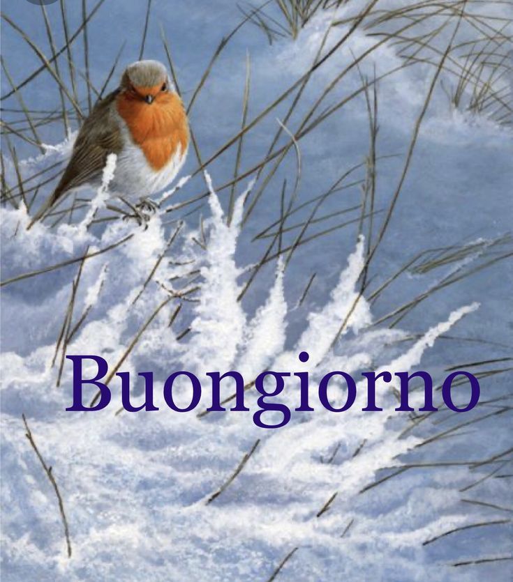 Immagini Buongiorno Invernali​ 63