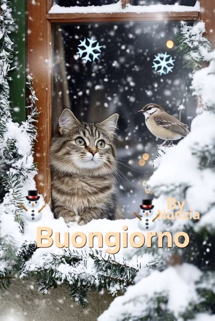 Immagini Buongiorno Invernali​ 65