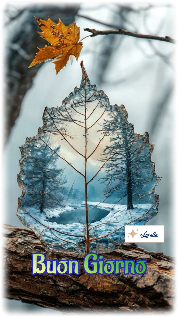 Immagini Buongiorno Invernali​ 71