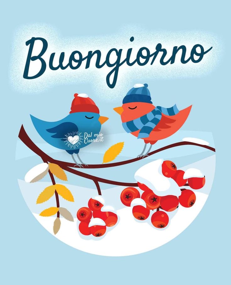 Immagini Buongiorno Invernali​ 73