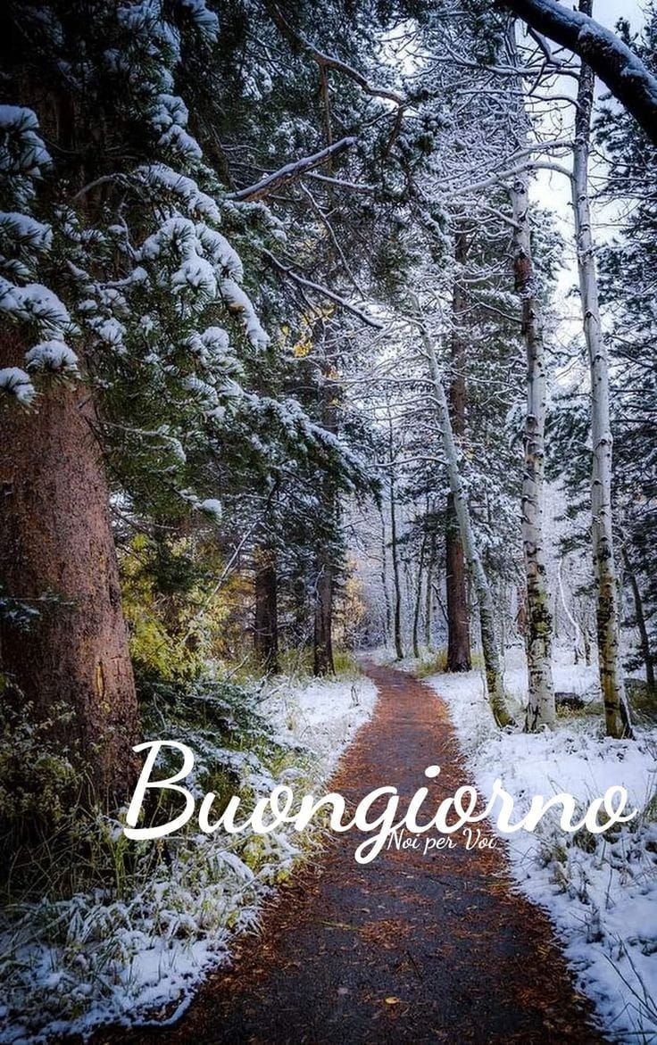 Immagini Buongiorno Invernali​ 76