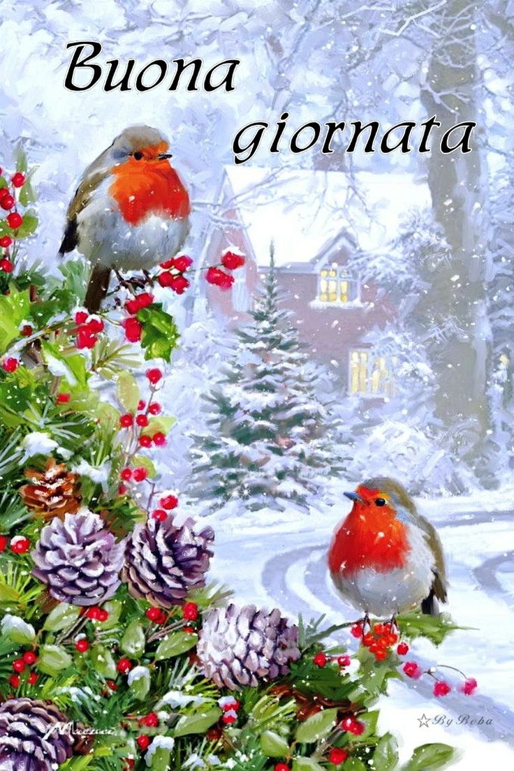 Immagini Buongiorno Invernali​ 78