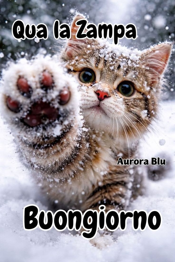 Immagini Buongiorno Invernali​ 8