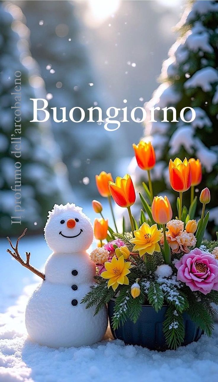 Immagini Buongiorno Invernali​ 85