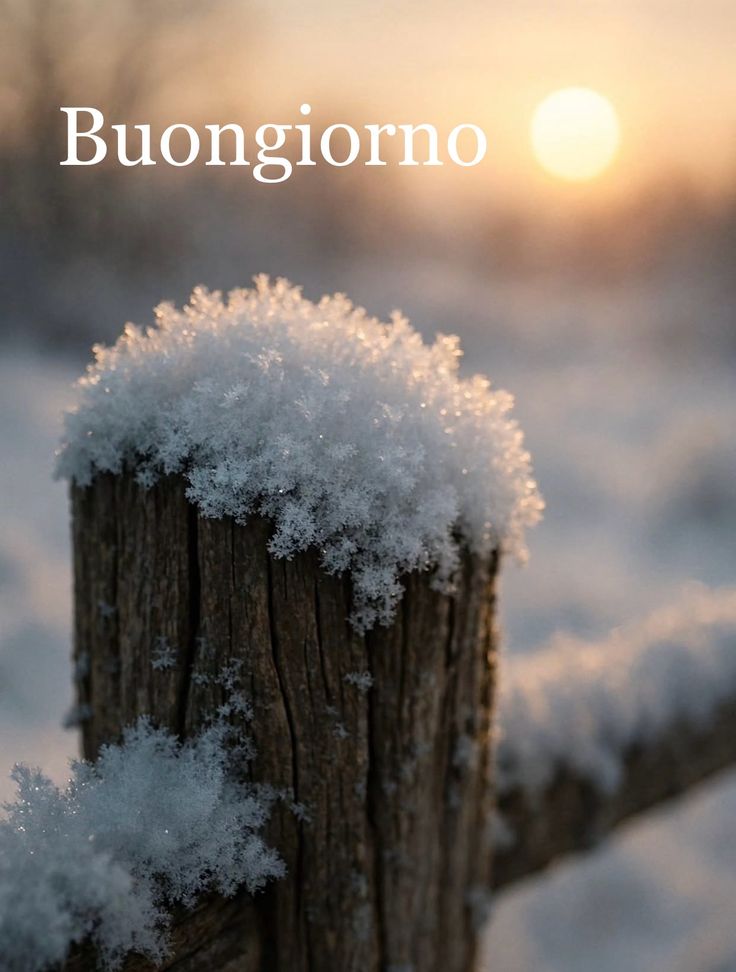 Immagini Buongiorno Invernali​ 9