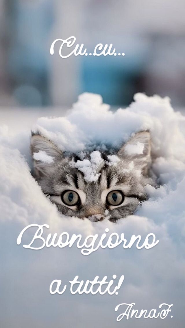 Immagini Buongiorno Invernali​ 97