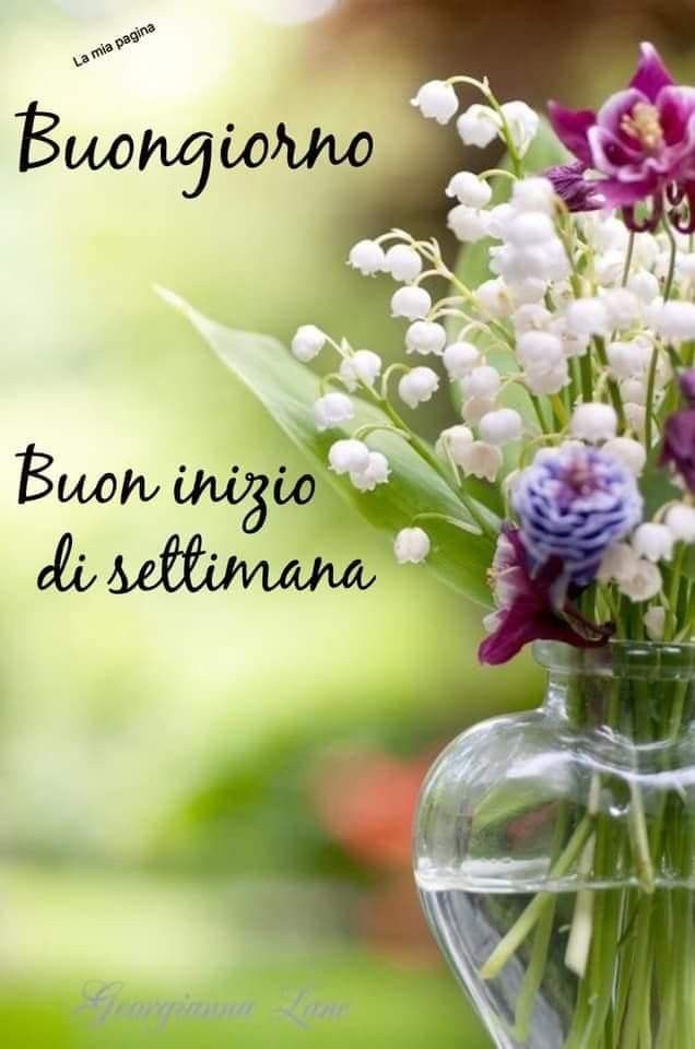 Immagini Buongiorno Lunedi​ 118