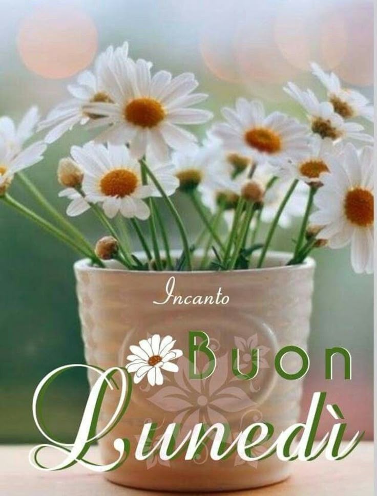 Immagini Buongiorno Lunedi​ 134