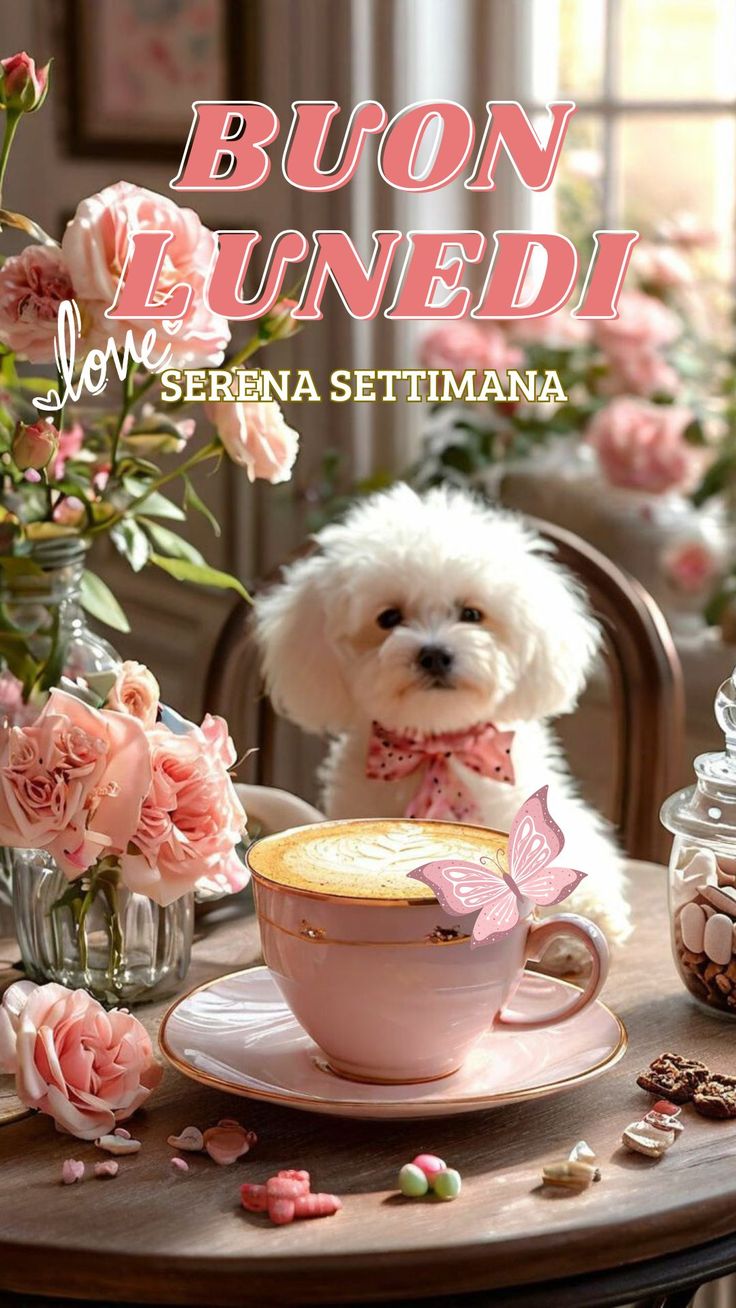 Immagini Buongiorno Lunedi​ 22