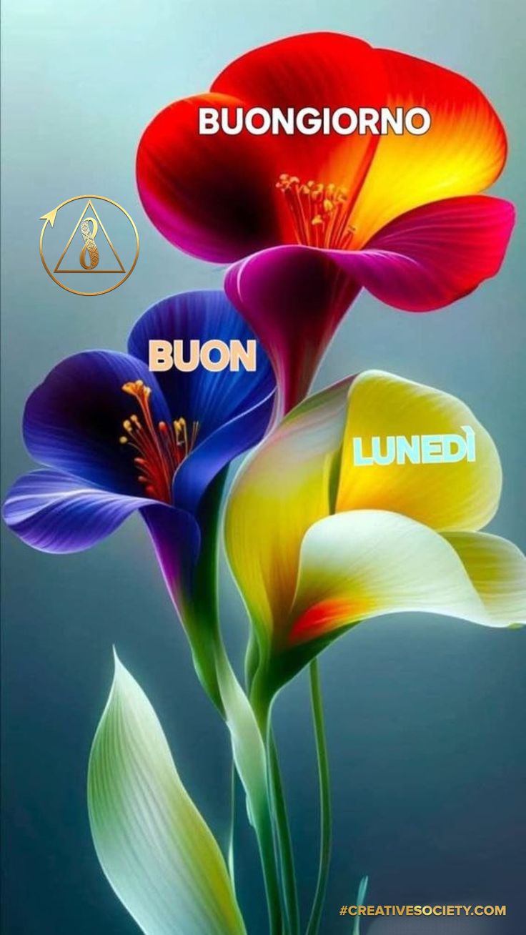 Immagini Buongiorno Lunedi​ 23